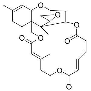 Verrucarin J