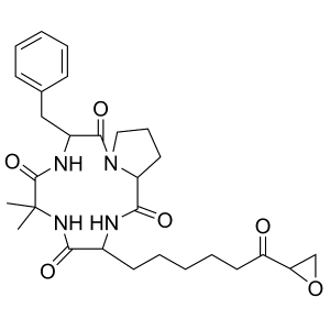 Chlamydocin