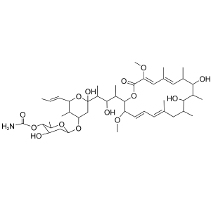 Concanamycin B
