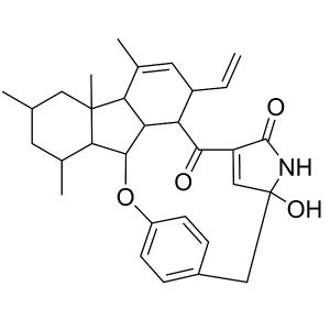 Pyrrocidine A