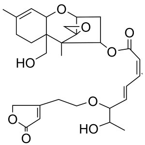 Roridin L2