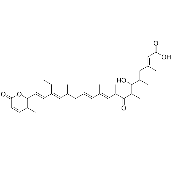 Leptomycin B; Elactocin; ATS 1287B; CI 940; CL 1957A; PD 114720; Mantuamycin