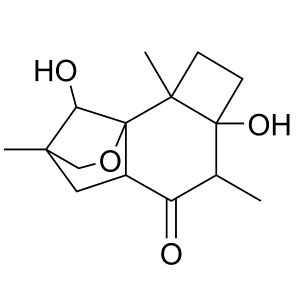 CL0534