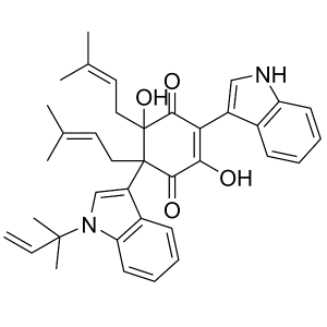 CL0597