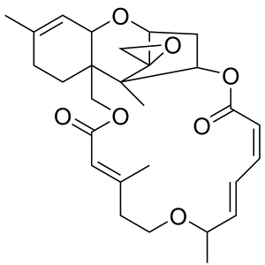 Roridin E