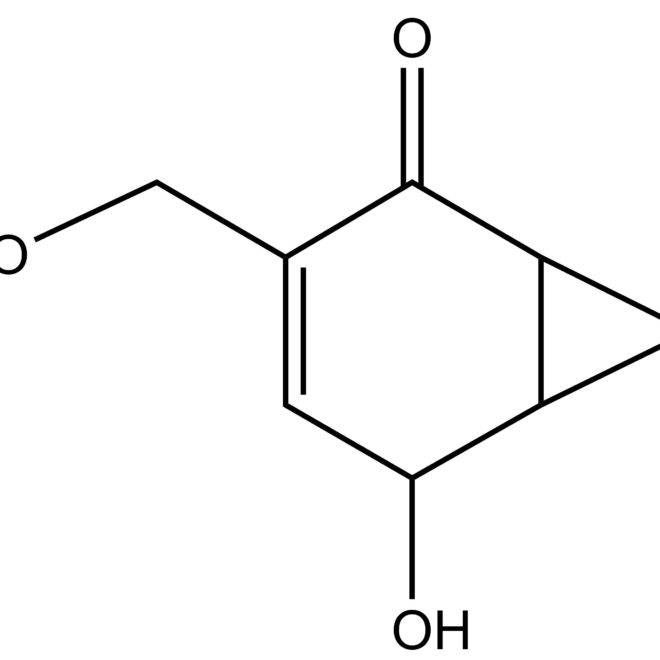 Epoxydon or Epiepoxydon