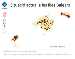 Islas Baleares Xf infection map
